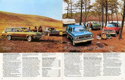 1973 Chevrolet Wagons (Rev)-18-19.jpg
